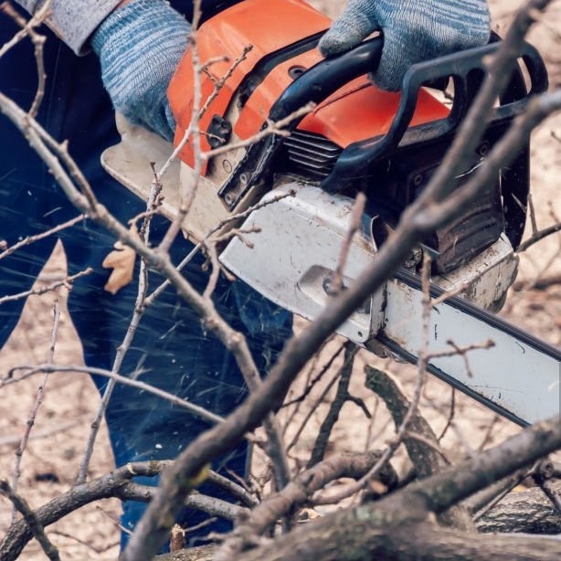 Hands of arborist cutting the branches by chainsaw machine with sawdust splash around. Tree cutting. Worker holding saws to work to cut logs.